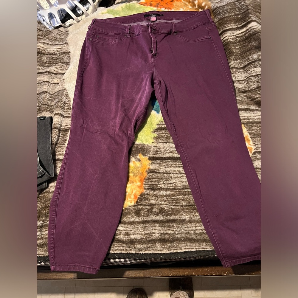 Torrid Purple Straight Leg Jeans